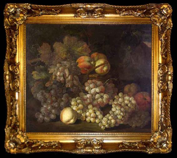 framed  Jakob Bogdani Still Life with Pomegranates and Figs, ta009-2